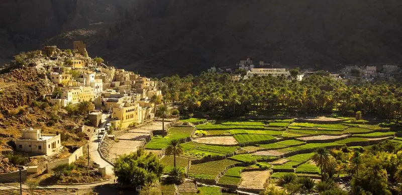 Wadi Bani Awf and Wadi Al Abyadh Tour